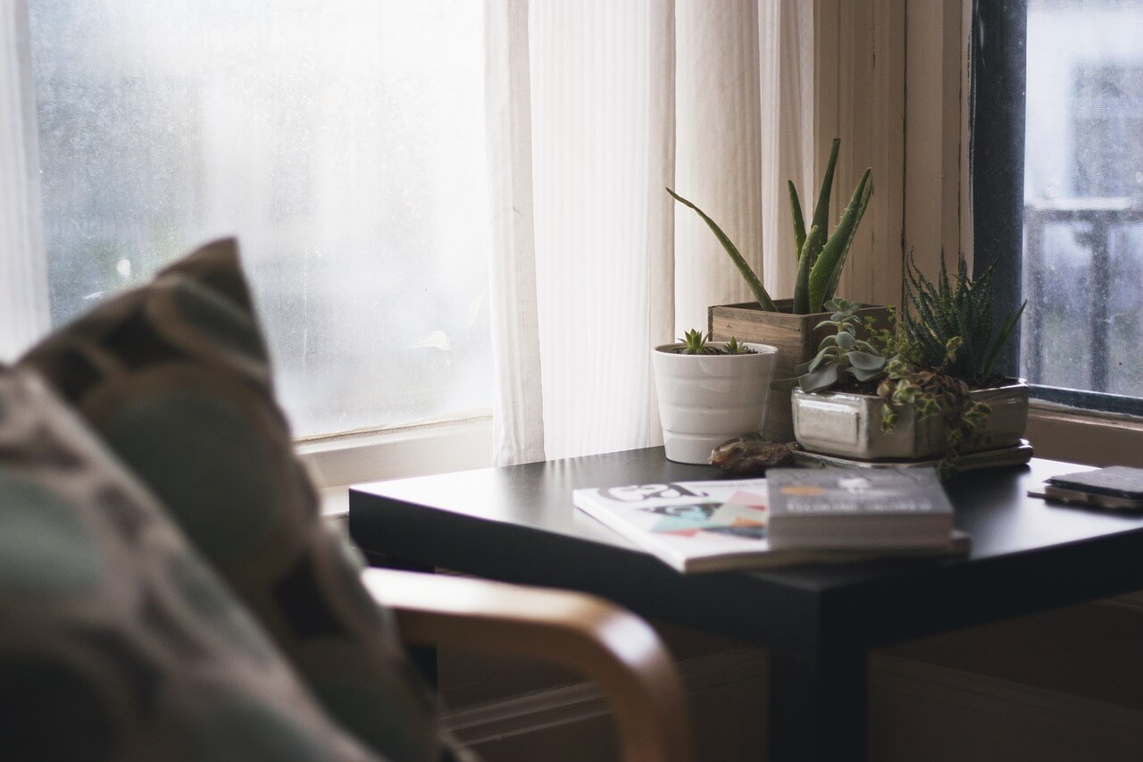 12 plantes d’intérieur à connaître absolument