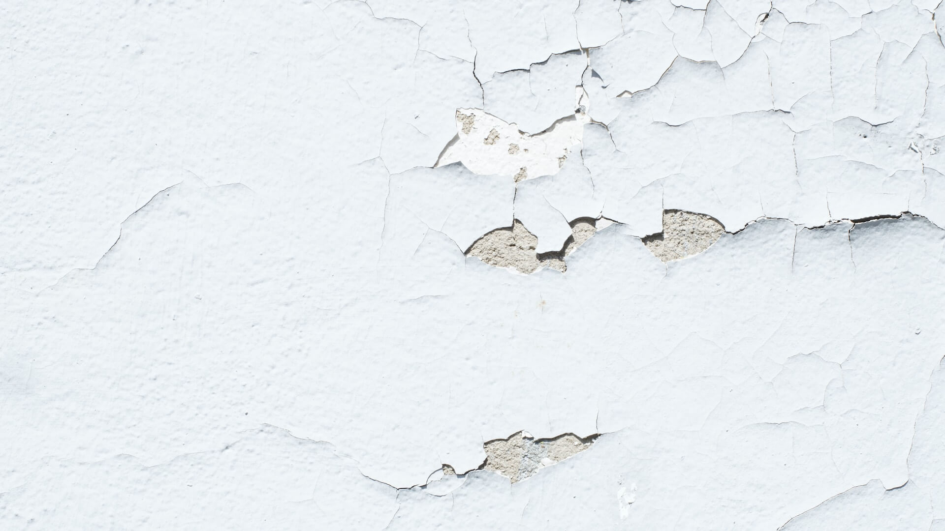5 astuces pour traiter efficacement vos murs humides